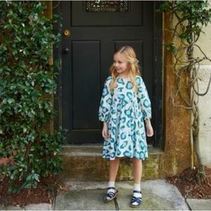 Pink Chicken Sage Leopard Danielle Dress sz 5